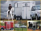 Ifor Williams Pferdeanhänger HB506| Frontausstieg | Klappenkombi|  Schwarz-Neu