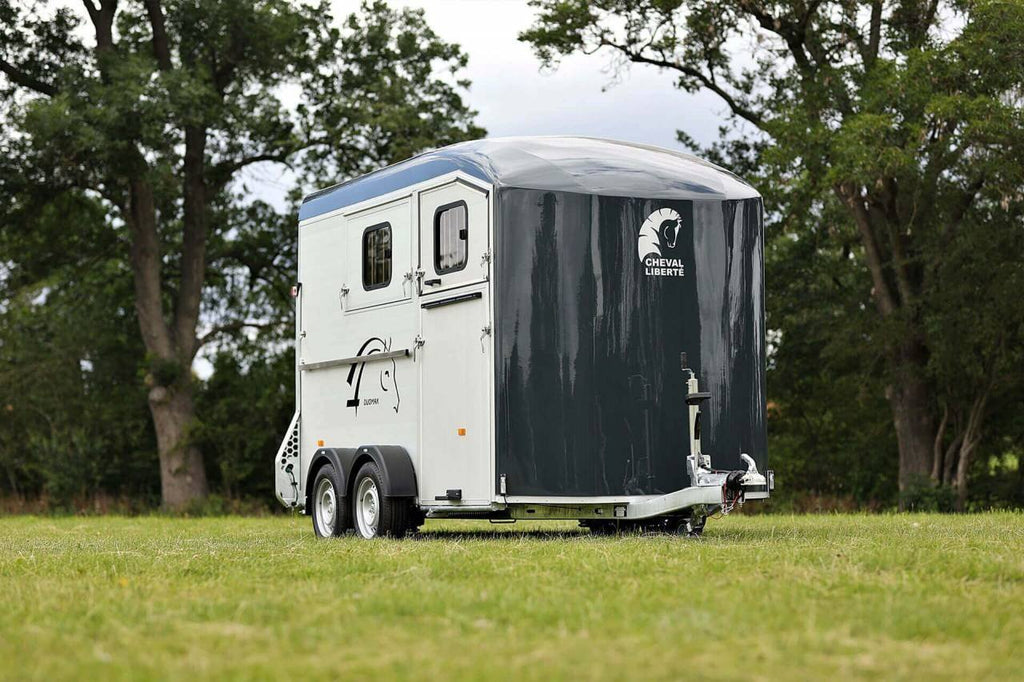 Van Chevaux duomax diagonal neu
