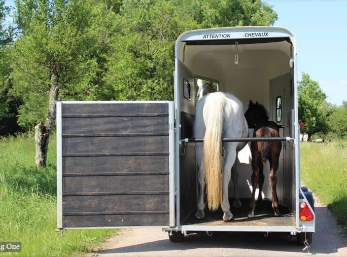 Pferdetransporter Cheval Liberté Touring One (1,5 Plätze)