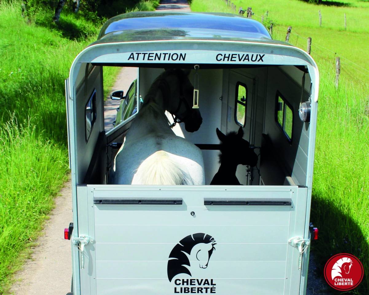 Pferdetransporter Cheval Liberté Touring One (1,5 Plätze)