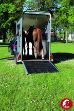 Pferdetransporter Cheval Liberté Touring One (1,5 Plätze)