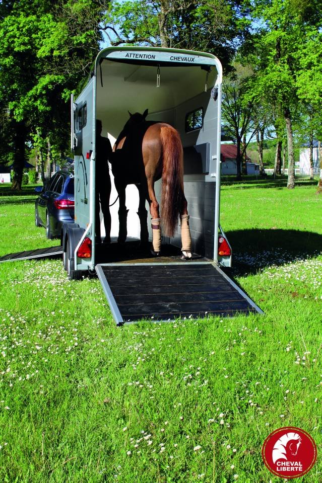 Pferdetransporter Cheval Liberté Touring One (1,5 Plätze)